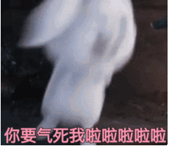 氣死我了.gif