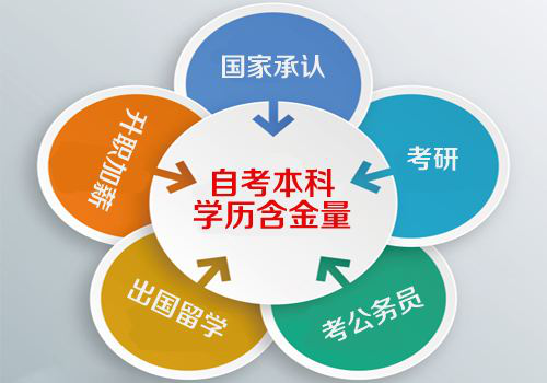 <a href=http://m.scottduncanbrown.com/ target=_blank class=infotextkey>大立教育</a>學歷資訊